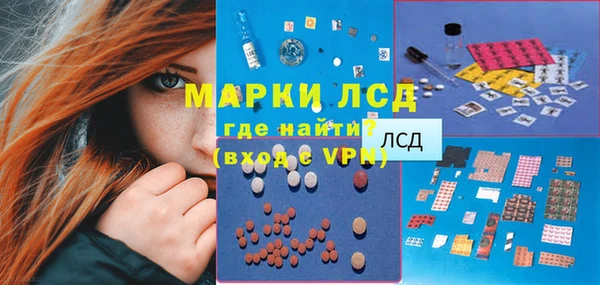 СК Волоколамск