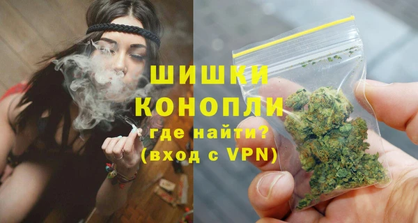СК Волоколамск