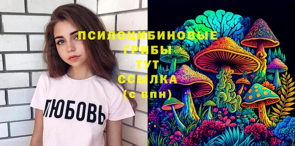 СК Волоколамск