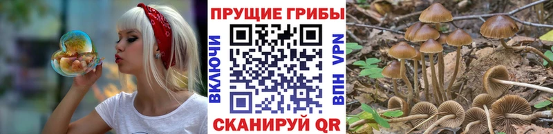 Псилоцибиновые грибы мицелий  Купить где  Высоцк 