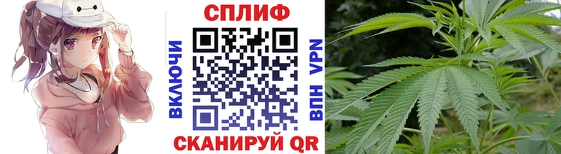 Марихуана тримм  Купить  Высоцк 